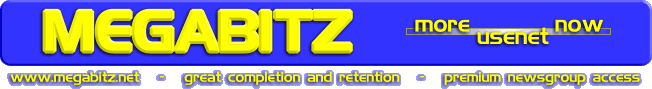 Megabitz, LLC
